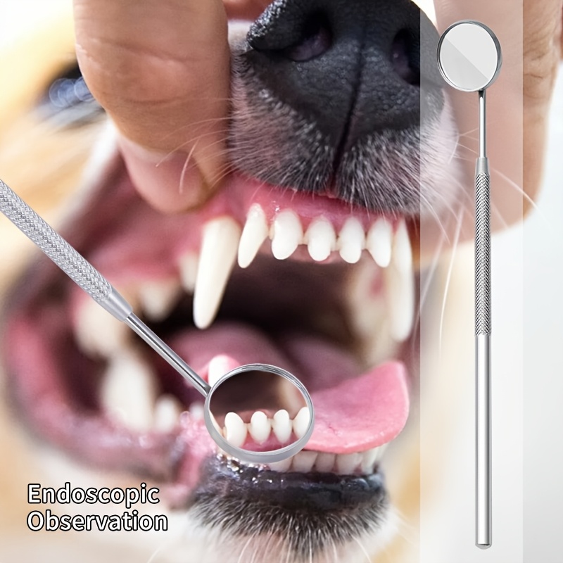 6pcs Soundwave Tartar Remover  - огляд і ціна Teeth Whitening Mouthwash